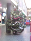 Christmas tree in SU